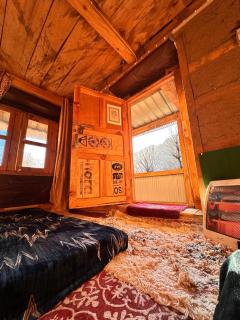 Metanoianest cottage Malana - 8