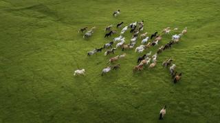 Paradise Beach Holiday Apartments - 2