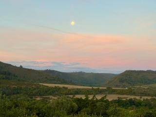 Howberry Hills - Plettenberg Bay - 4