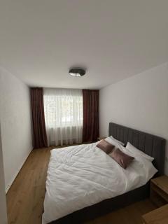 TwinNest Petrila - 5