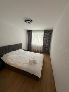 TwinNest Petrila - 3