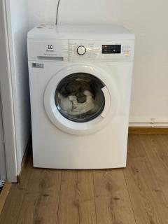 TwinNest Petrila - 3