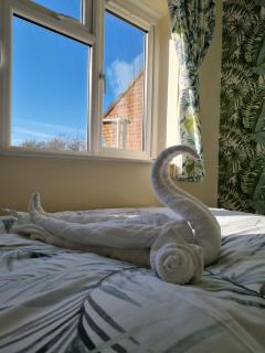 Charming 3 Bedroom Home -  - 8