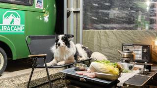 Yangyang Lira Camp - 4