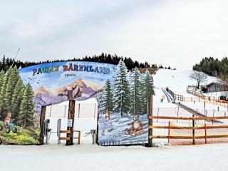 Apartment Alpenrose 1 by Interhome - 9