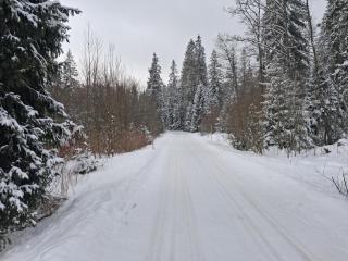 Chata Anna Tatranská Štrba - 5