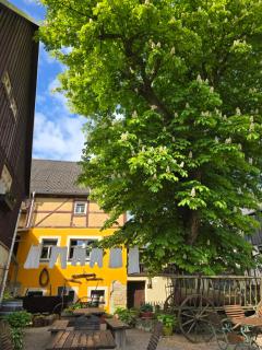 Wanderhütte Gohrischer Hof Anno 1798 - 3