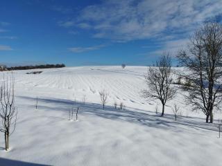 Apartments Patar - 9