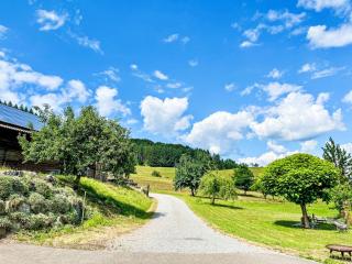 Apartment Kinast - HFT201 by Interhome - 6