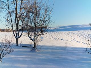 Apartments Patar - 7