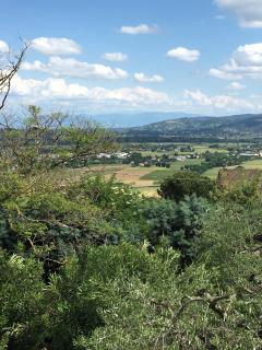 La Grande Quercia - 5