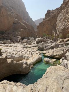 Wadi hawer tour guiding and local farm tour - 7