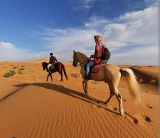 Sahara Magic luxury Camp - 2