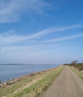 TheGilgahouse fjordroom - 7