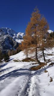 Tra Civetta e Pelmo - 5