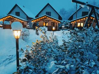 Domki nad Strumykiem-Solina - 0