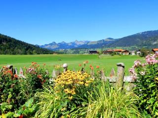 Gästehaus Schönfeld - 8