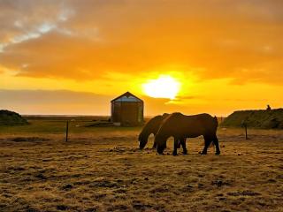 Aurora Glass Cabin II Private sauna and Jacuzzi - 3