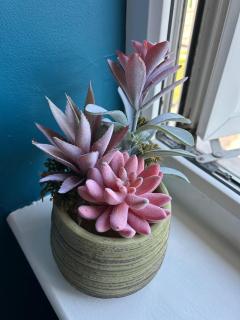 Cosy centrally located house - 6