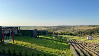 Agropensiune Curtea Mamei - 0