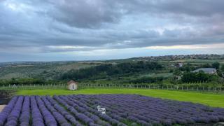 Agropensiune Curtea Mamei - 1