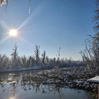 Drinska Ljepotica - 1