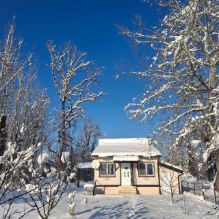 Drinska Ljepotica - 4