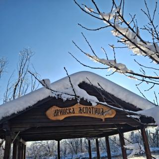 Drinska Ljepotica - 5