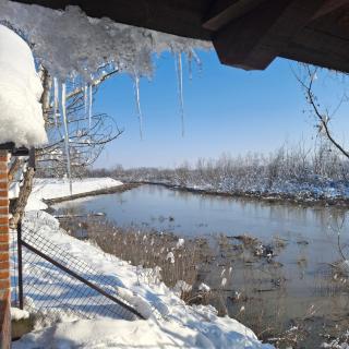 Drinska Ljepotica - 6