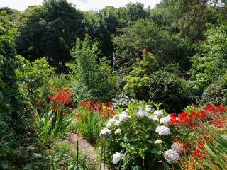 Treetops Lodge, private Cornish hideaway, parking, garden - Truro - 8
