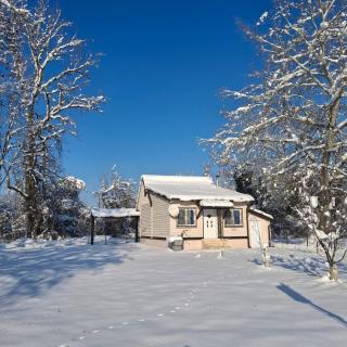 Drinska Ljepotica - 8