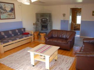 Holiday Home Sänkelä by Interhome - 3