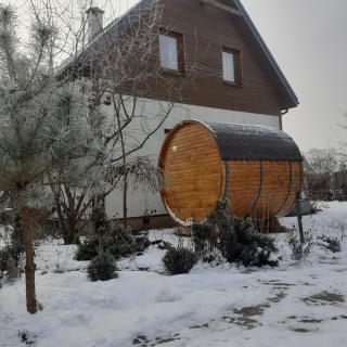 Domek Na Wsi - sauna i jacuzzi -  - 9