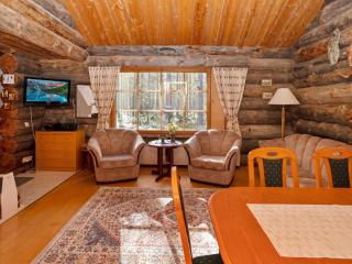 Holiday Home Rukanlumous 1 by Interhome - Ruka - 5