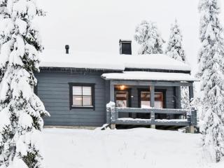 Holiday Home Kelkkatyttö by Interhome - Ruka - 0