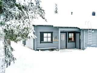 Holiday Home Kelkkatyttö by Interhome - Ruka - 9