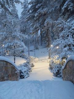 Sibilla Ospitalità - 9