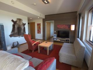 Holiday Home Nordic chalet 9106 by Interhome - Ylläs - 4