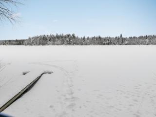 Holiday Home Rajala by Interhome - 4