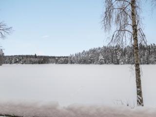 Holiday Home Lepikko by Interhome - Juhanala - 8