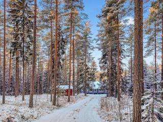 Holiday Home Päivärinne by Interhome - 3