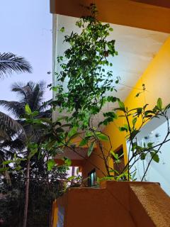 Krishna Guest House - 7