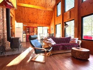 Winter Lakefront Chalet - Serendipity Hideaway - Ski, Skate, Snowshoes & Relax by the Cozy Fire - 8