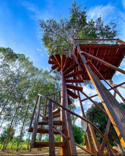 Chácara Aconchego - 1