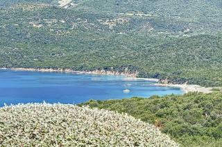 Magnifique mini villa terrasse avec wifi résidence piscine mer à pied - 9