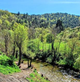 Gîte Alauze Cévennes avec Jacuzzi - 1