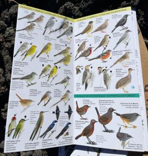 Domo Conguillio, Salto Truful Truful - 2