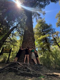 Domo Conguillio, Salto Truful Truful - 5