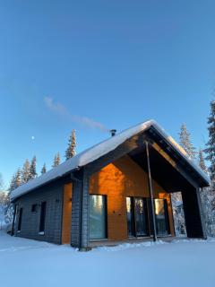 Villa Luokka, Iso-Syöte - 9