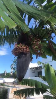 Yoga -Retreat -Villa Sappho near Ammoussa Beach - 2